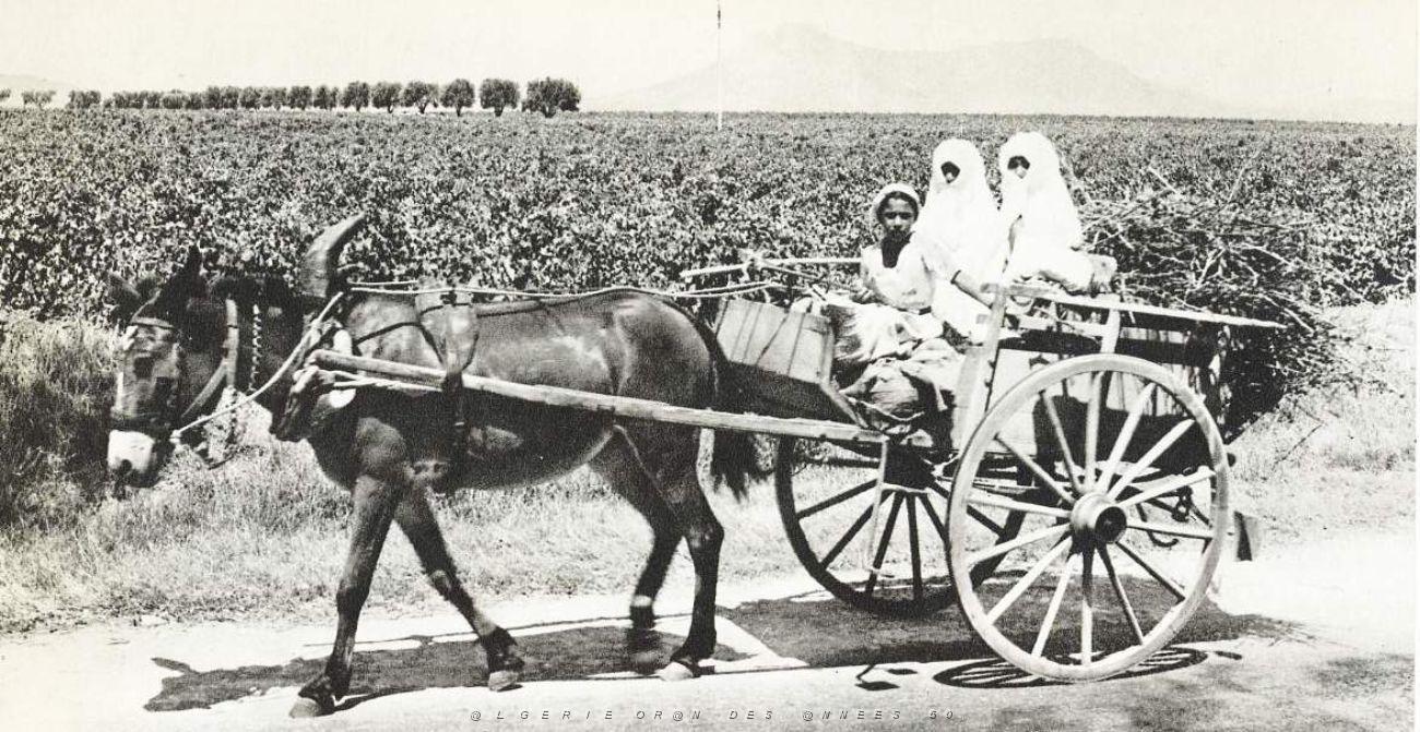 Images d'Algerie 200.jpg